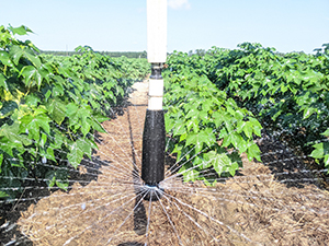 Sekaran, Udayakumar - Variable Rate Irrigation System Photo